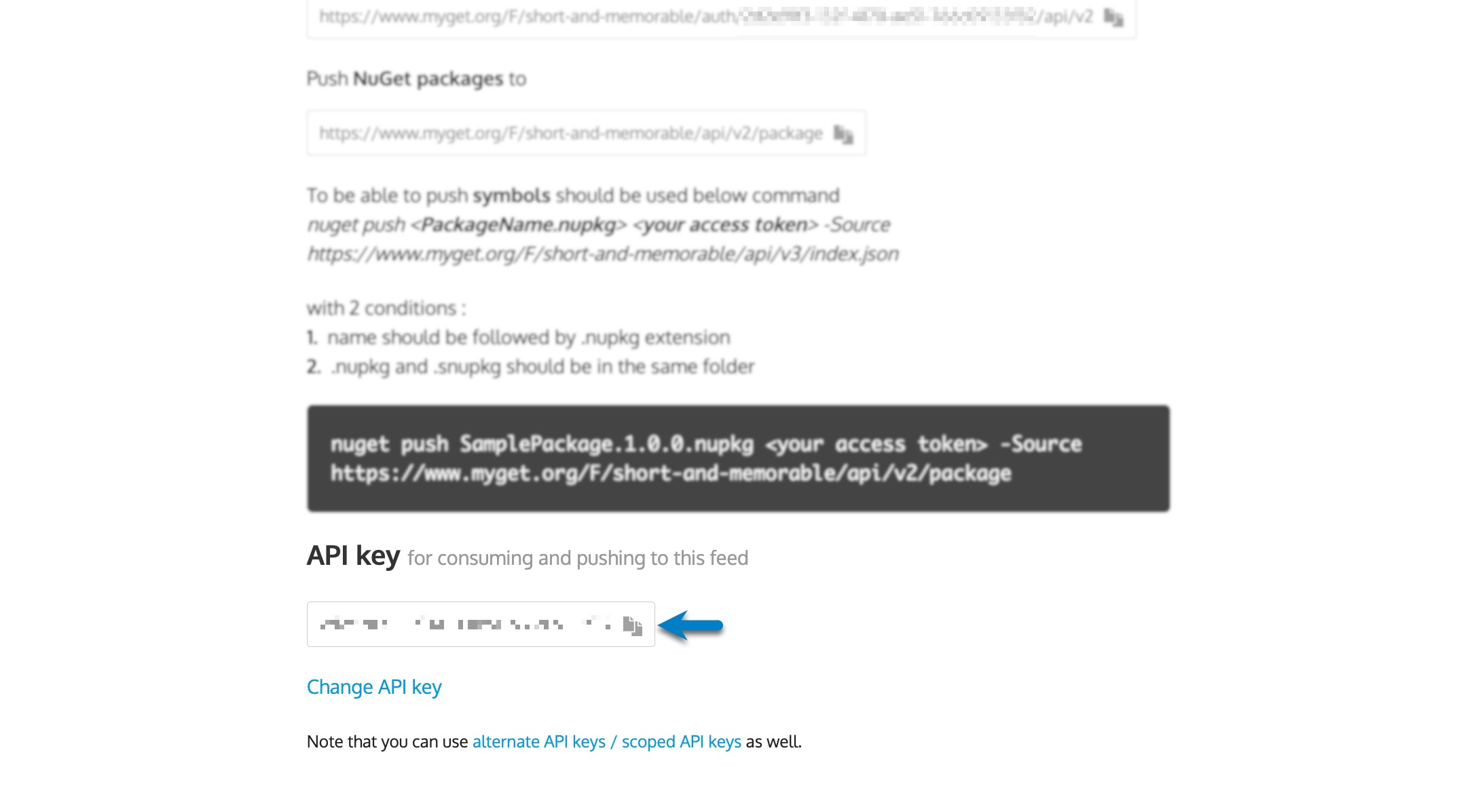 Feed details > Copy API key.jpg