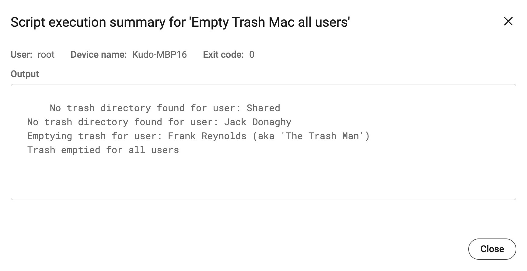 Script execution summary window.jpeg