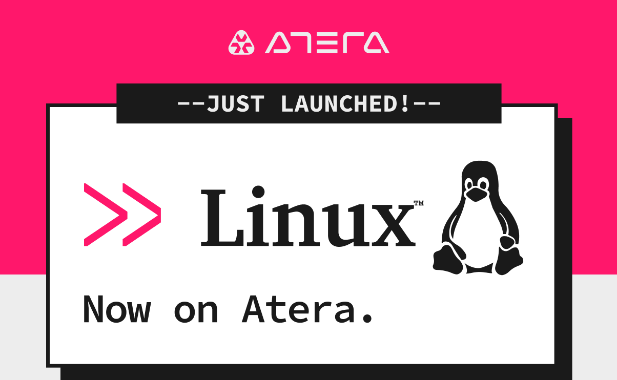 Pingu_.png