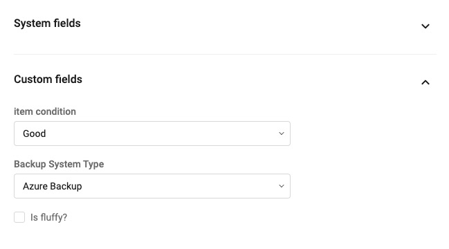 System:custom fields assets.jpg