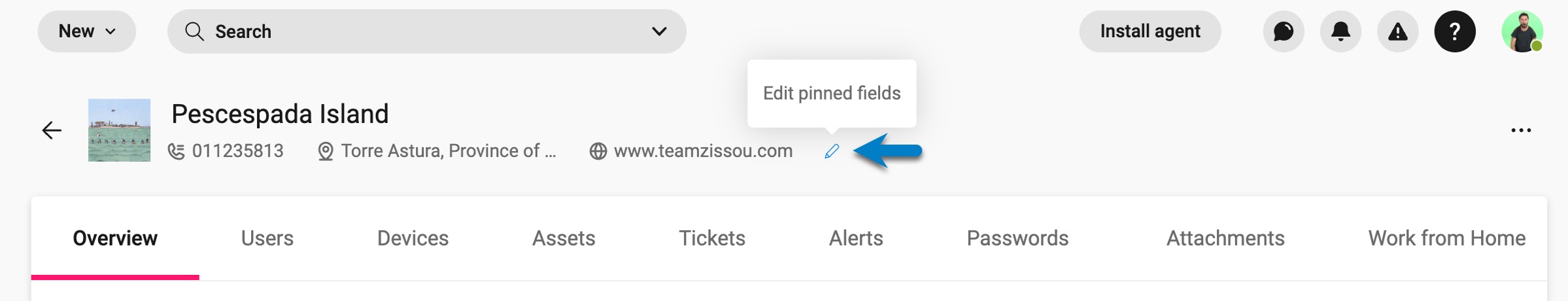 Site page > Pinned fields.jpg