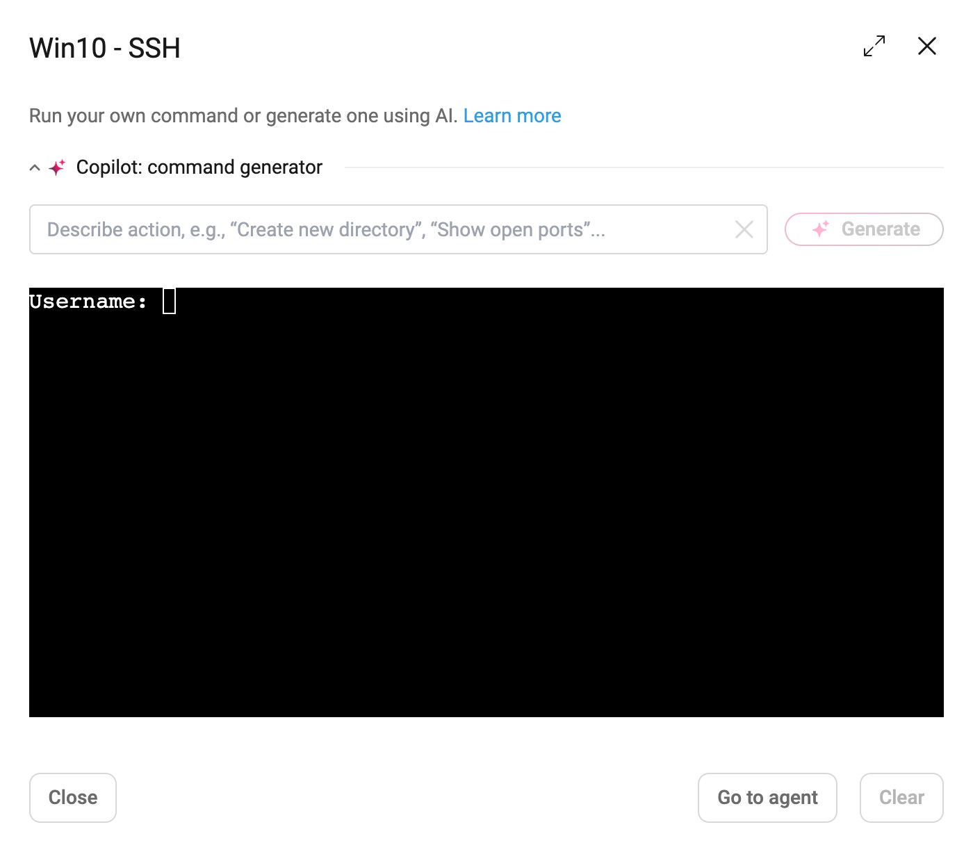 SSH terminal (Windows).jpg