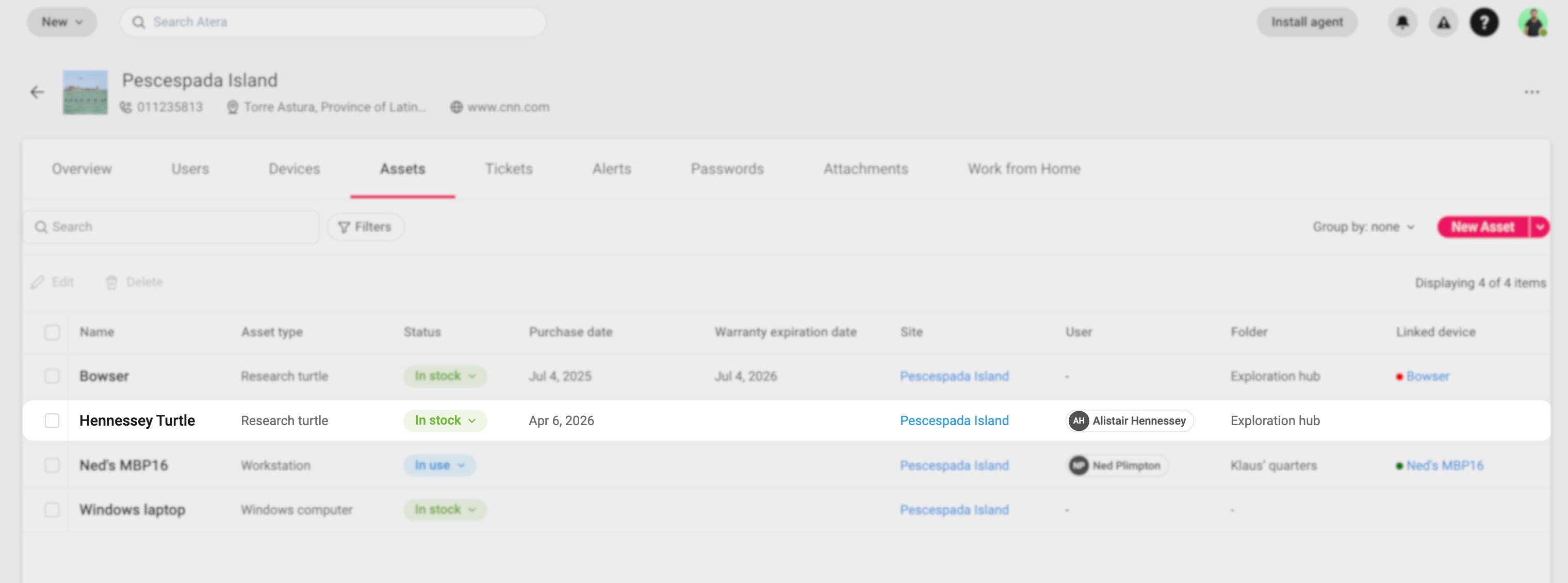 Site > Asset tab > New asset copy.jpg