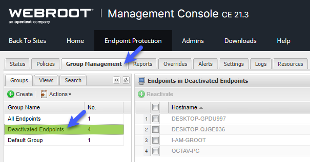 deactivate endpoint webroot console