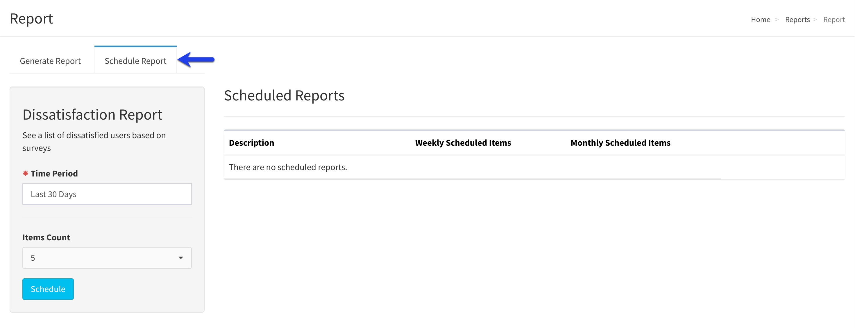 Schedule_Report_tab_-_EN.jpg