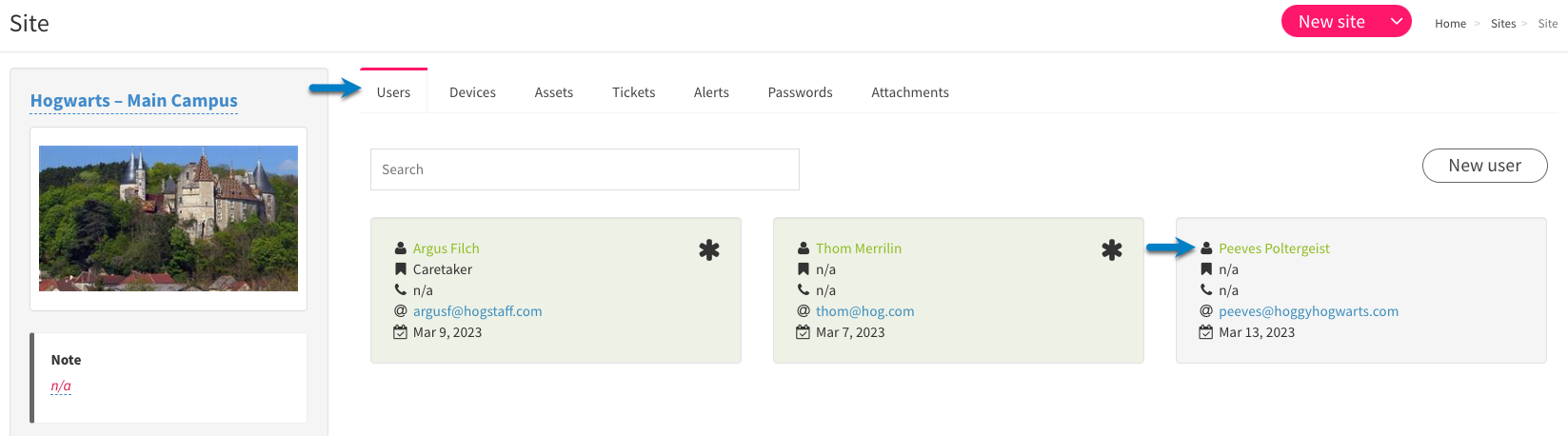 Site___Users_tab___User_-_ITD_-_EN.png